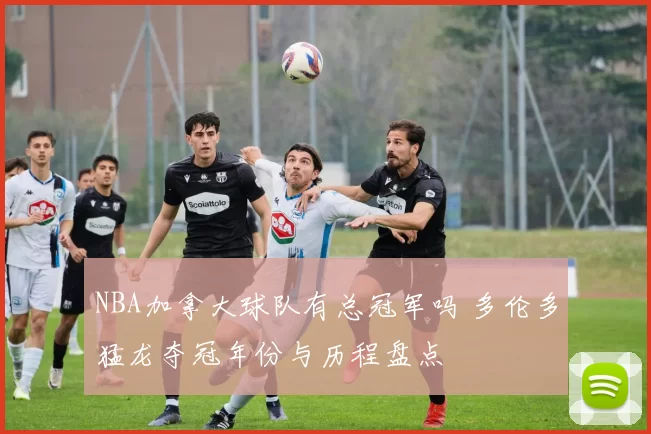 NBA加拿大球队有总冠军吗 多伦多猛龙夺冠年份与历程盘点