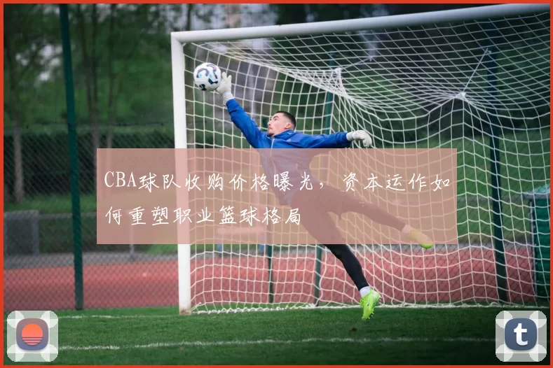 CBA球队收购价格曝光,资本运作如何重塑职业篮球格局